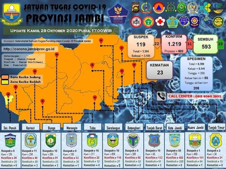 Data Kasus Covid-19 Provinsi Jambi.