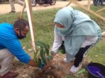 Bupati Masnah tanam pohon bulian di Desa Pulau Kayu Aro
