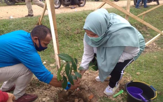 Bupati Masnah tanam pohon bulian di Desa Pulau Kayu Aro