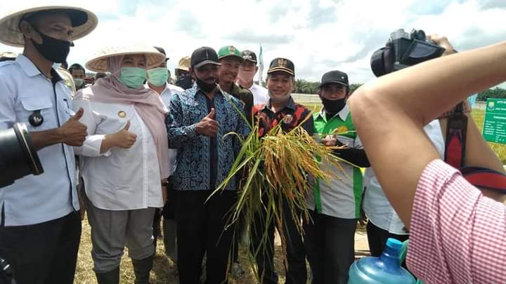 Bupati Masnah panen raya padi di Desa Pudak