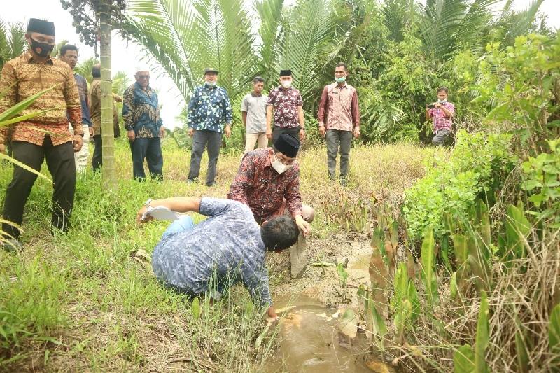 Bupati Anwar Sadat tinjau lahan warga yang terdampak banjir.