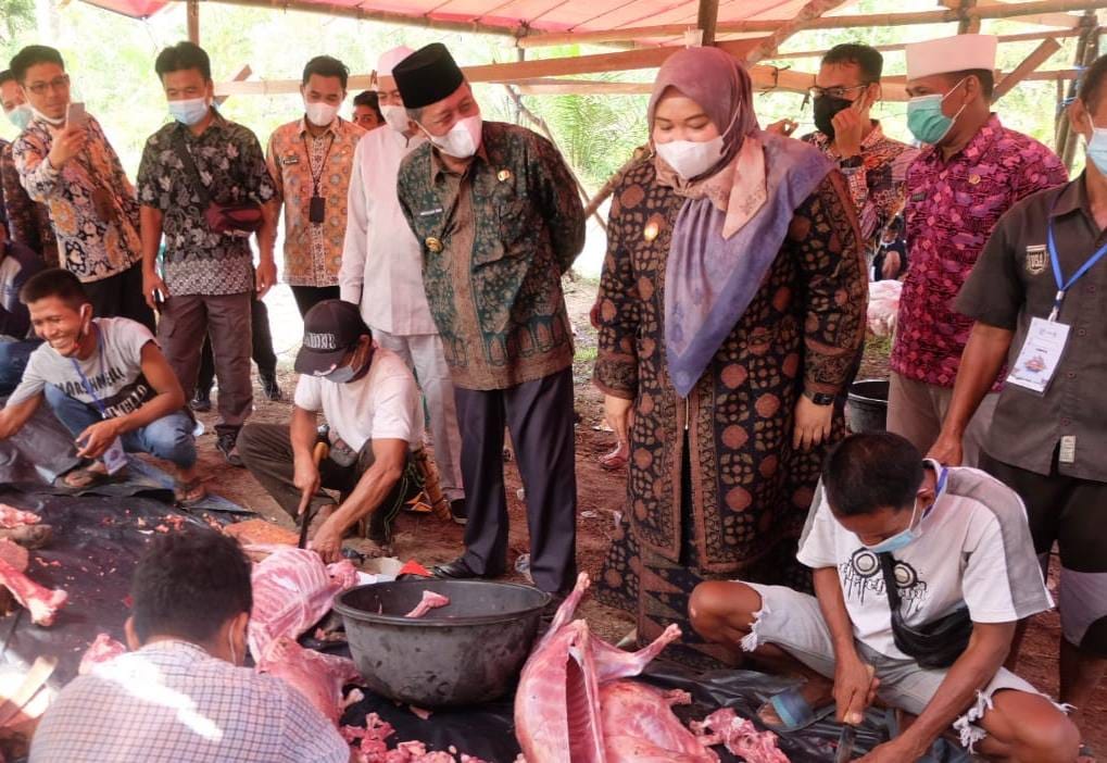 Bupati Masnah saat mengikuti acara penyembelihan hewan kurban di Dusun Nebang Parah, Desa Nyogan, Kecamatan Mestong, Muaro Jambi.