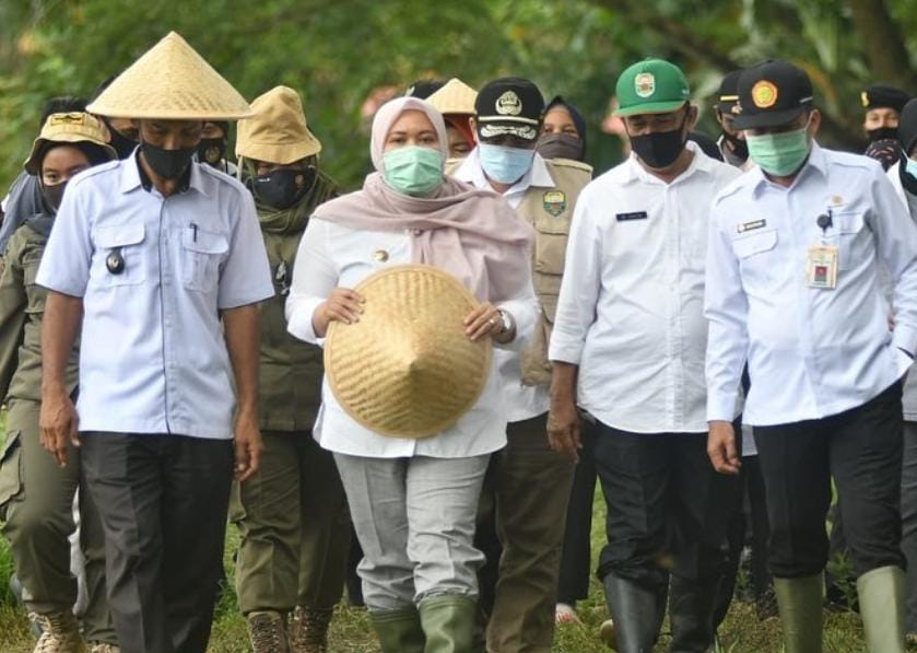 Bupati Muaro Jambi Masnah Busro.