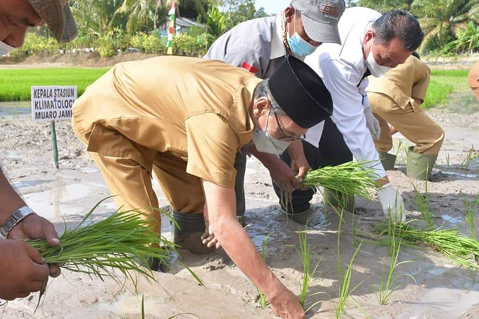 Wabup Batanghari saat mengikuti rangkaian program Sekolah Lapang Iklim.