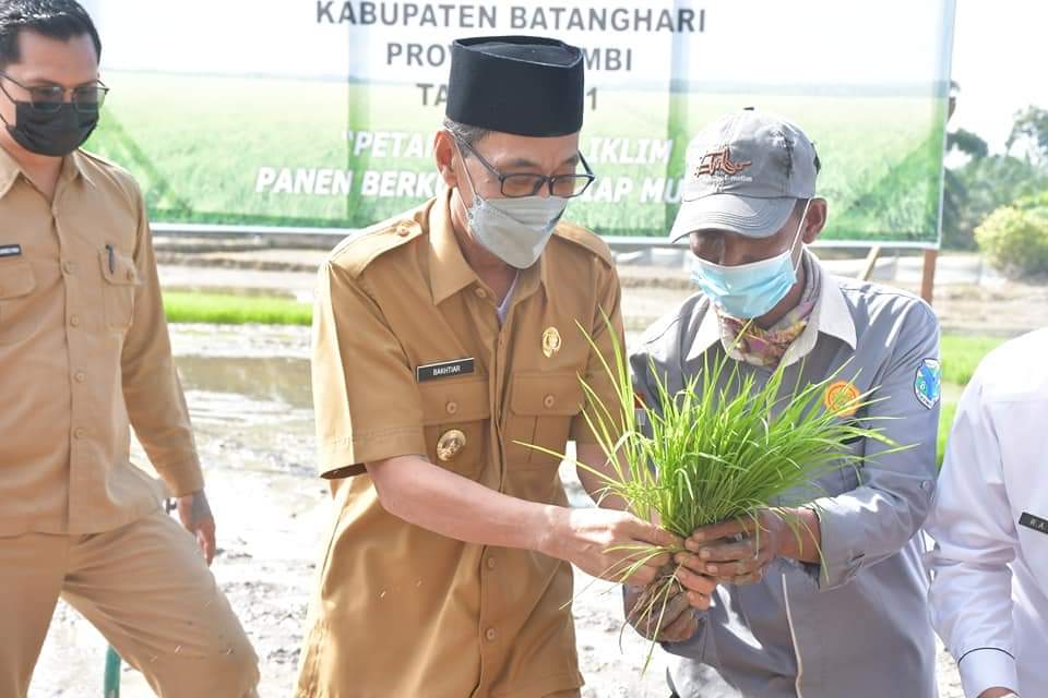 Wabup Bakhtiar praktekkan cara menanam padi.