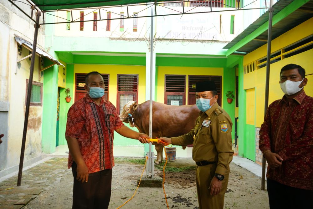 proses serah terima hewan kurban di Mesjid Al Falah Jambi.