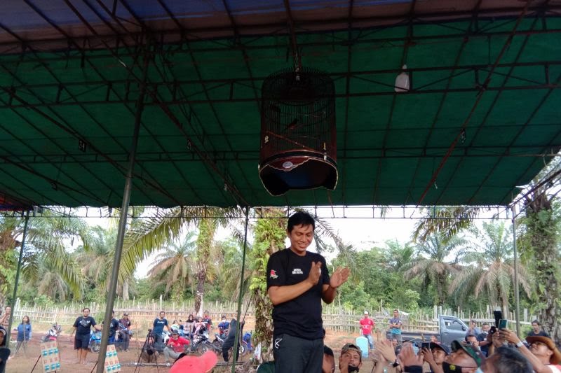 Bupati M.Fadhil Arief saat membuka kegiatan lomba burung berkicau.