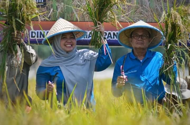 Bupati Masnah Busro.