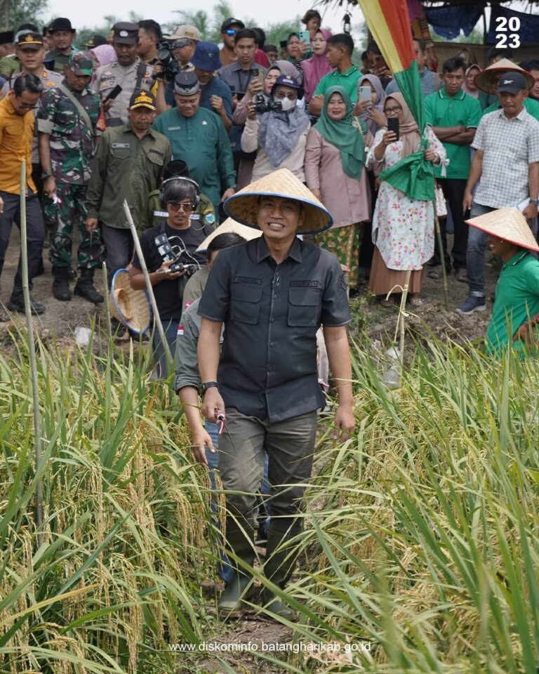 Bupati Fadhil Fadhil Arief