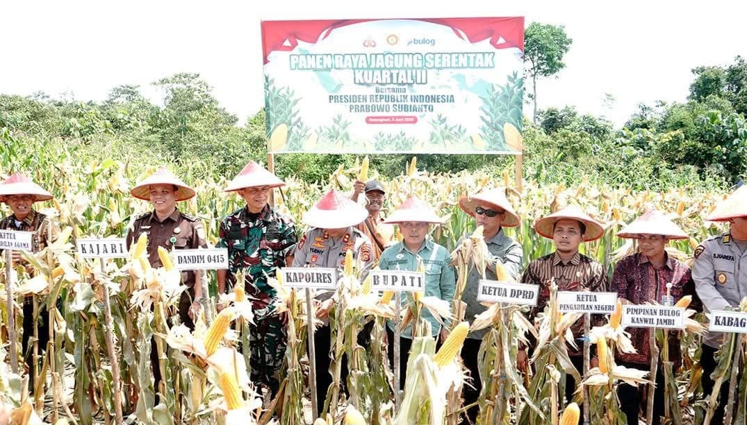 Pj Sekda Batanghari Panen Raya Jagung Serentak Kuartal II di Pal 4 Senami