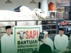 Bupati Batang Hari Mhd Fadhil Arief
