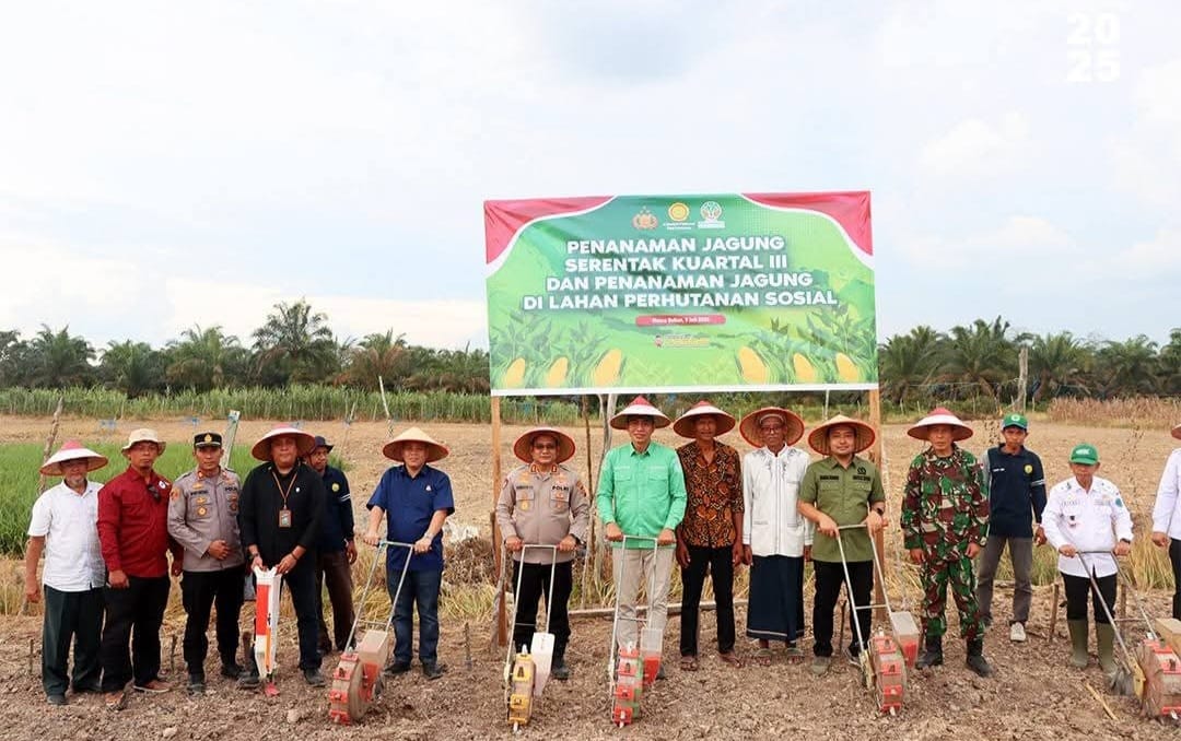 penanaman jagung serentak kuartal III dan penanaman jagung di lahan Perhutanan Sosial di Kelurahan Sridadi