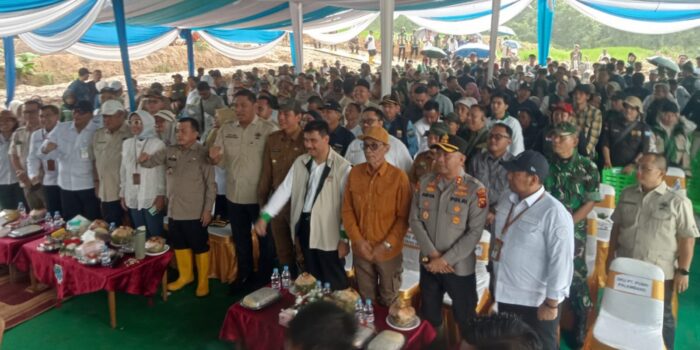 Tanam Padi Serempak di Kabupaten Batang Hari
