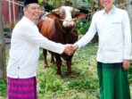 Bupati Fadhil Arief Serahkan Sapi Qurban Presiden RI di Desa Terusan