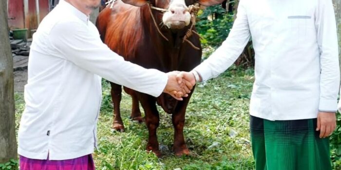 Bupati Fadhil Arief Serahkan Sapi Qurban Presiden RI di Desa Terusan